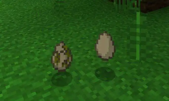 Play Exotic Birds for PE