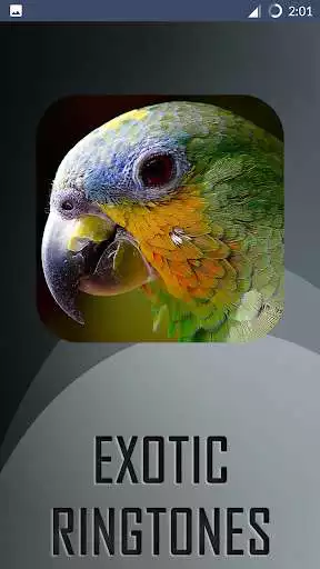 Play Exotic Ringtones & Sounds  and enjoy Exotic Ringtones & Sounds with UptoPlay