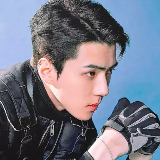 Play EXO wallpaper HD APK