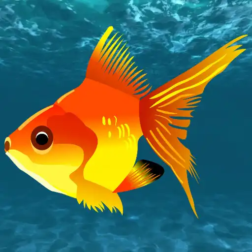 Play Expedition (plus) APK