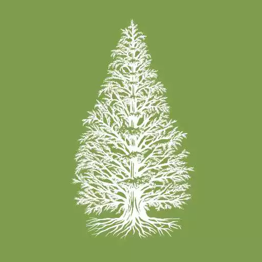Play Expeditions: Arnold Arboretum APK