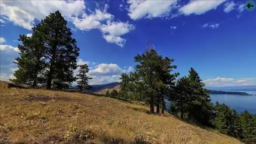 Play Experience Montana Now as an online game Experience Montana Now with UptoPlay