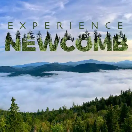 Play Experience Newcomb APK