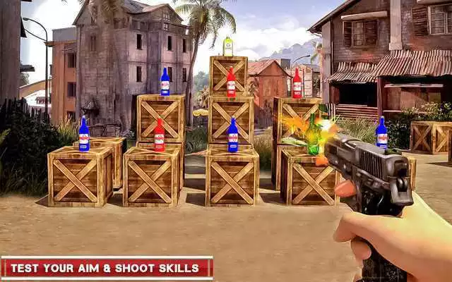 Play Expert Bottle Shoot 3D