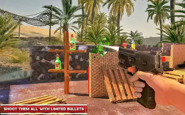 Play Expert Bottle Shoot 3D