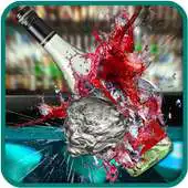 Free play online Expert Bottle Shooting Game APK