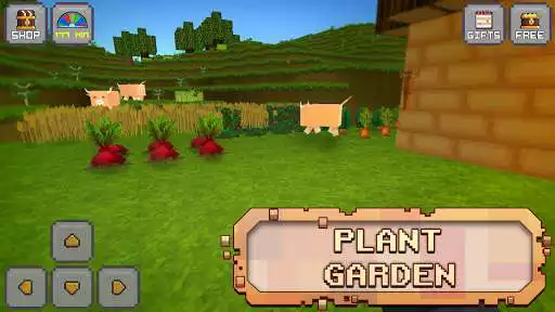 Play Exploration Craft