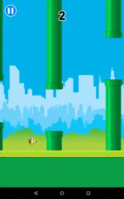 Play Express Airlift Fluttering