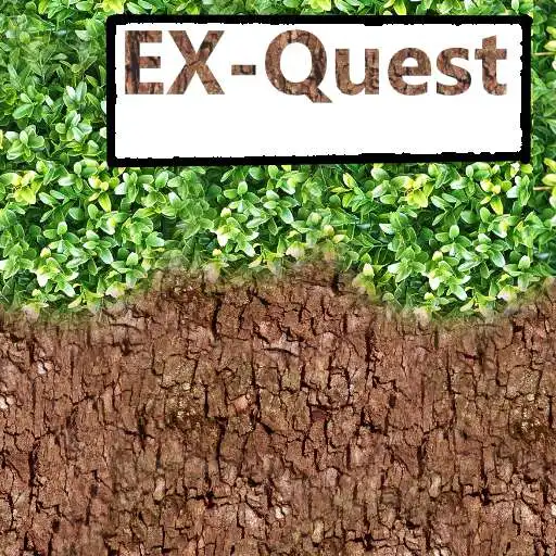 Play Ex-Quest APK Play Ex-Quest APK