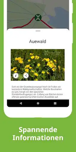 Play Externsteine Nature Trails as an online game online Externsteine Nature Trails with UptoPlay mobi.sawah.externsteine Play Externsteine Nature Trails as an online game Externsteine Nature Trails with UptoPlay