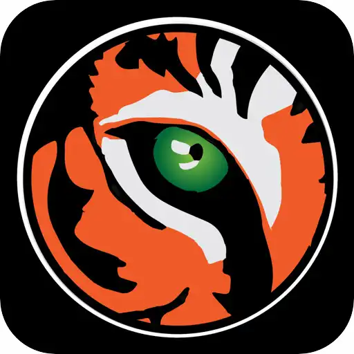 Play Eye of the Tiger Fitness APK