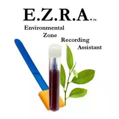 Play E.Z.R.A. the Scribe Play E.Z.R.A. the Scribe