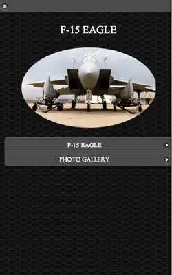 Play F-15 Eagle Aircraft FREE