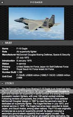 Play F-15 Eagle Aircraft FREE