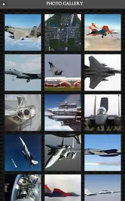 Play F-15 Eagle Aircraft FREE