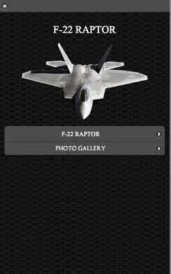 Play F-22 Stealth Fighter FREE