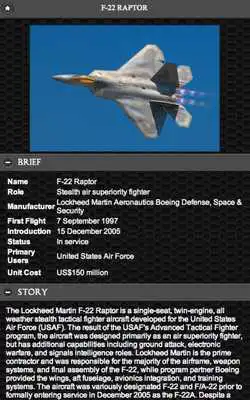 Play F-22 Stealth Fighter FREE