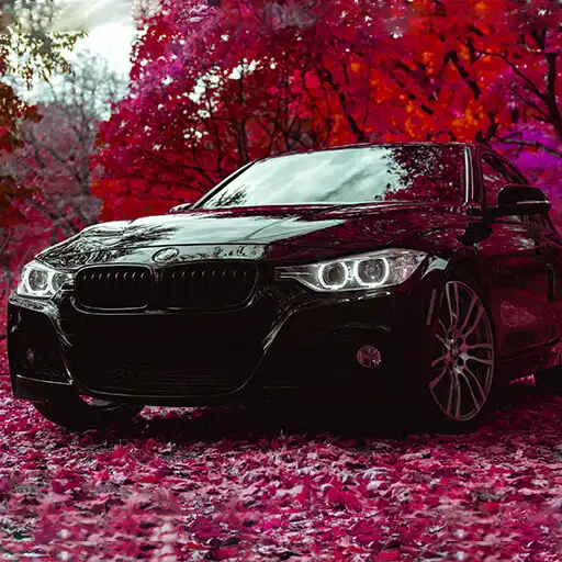 Play F30 Drift  Parking Simulator APK