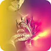 Free play online Fabulous Wallpaper APK