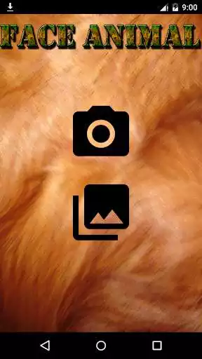 Play Face Animal  and enjoy Face Animal with UptoPlay