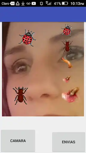 Play FaceBug  and enjoy FaceBug with UptoPlay