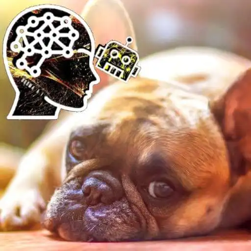 Play facedog: Human or Dog? TensorFlow AI Tutorial A.I. APK