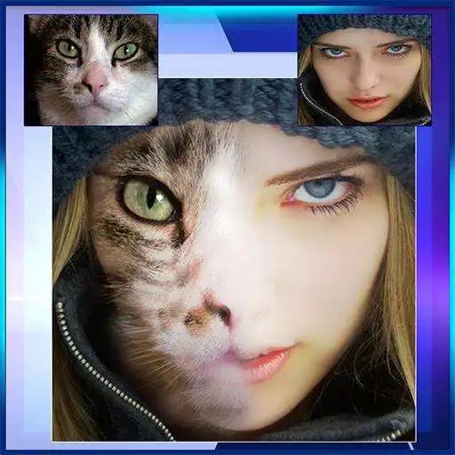 Play Face Fusion the Illusion APK