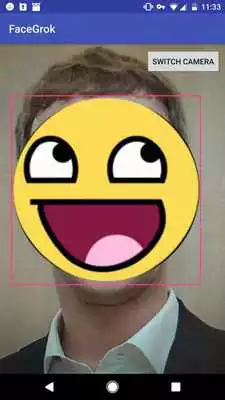 Play FaceGrok