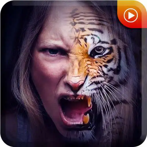 Play Face Morphing Blender - Video APK Play Face Morphing Blender - Video APK
