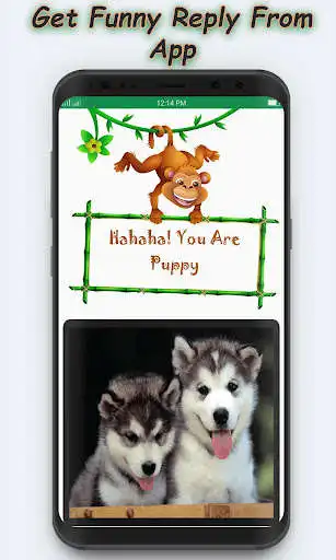 Play Face Scaner: Which Animal I Am as an online game Face Scaner: Which Animal I Am with UptoPlay