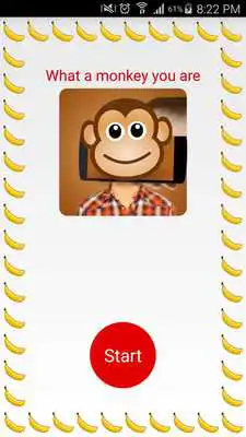 Play Face Scanner Which Monkey Play Face Scanner Which Monkey