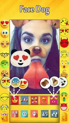 Play Face SnapShot Photo Editor Dog Chihuahua