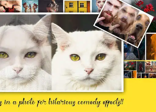 Play Face Swap & Morph Animation Maker and enjoy Face Swap & Morph Animation Maker with UptoPlay Play Face Swap & Morph Animation Maker and enjoy Face Swap & Morph Animation Maker with UptoPlay