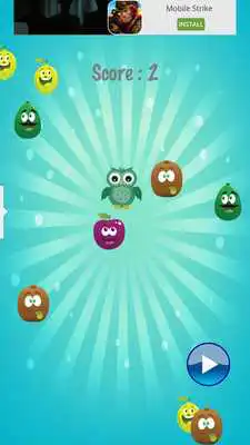 Play Face the Fruit