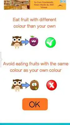 Play Face the Fruit