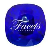Free play online Facets APK Free play online Facets APK