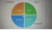 Free play online Facial Expressions APK