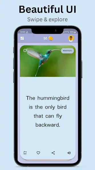 Play FactJano - Did you know facts as an online game FactJano - Did you know facts with UptoPlay