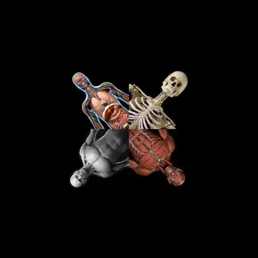 Play Facts about a person APK