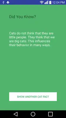 Play Facts About Cats