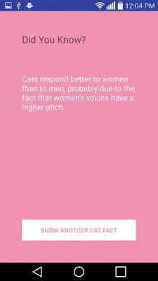 Play Facts About Cats