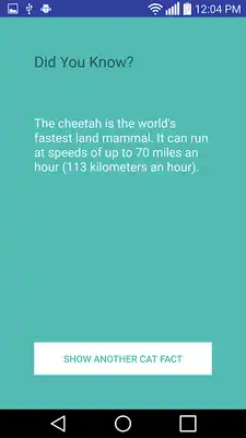 Play Facts About Cats