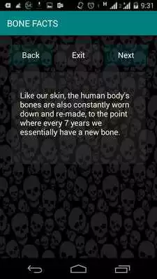 Play Facts : Human Body