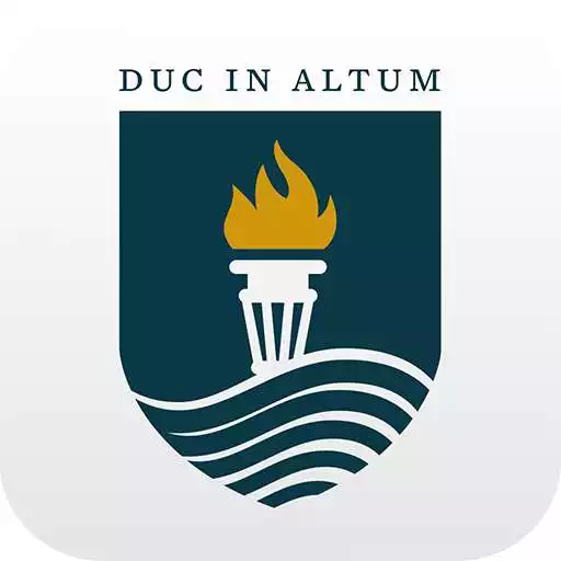 Free play online Faculdade Damas APK
