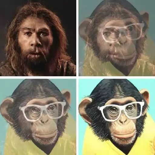 Free play online Fading Meme Generator APK