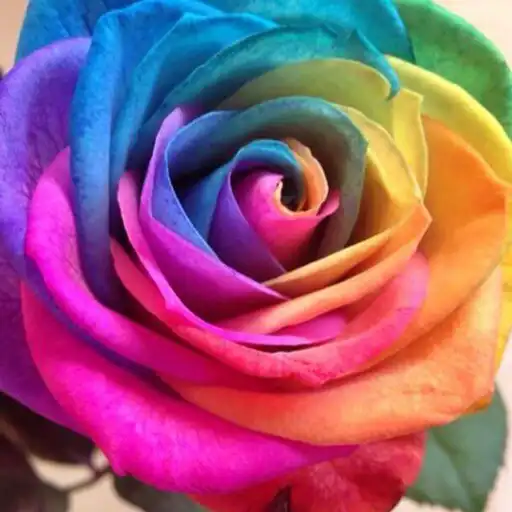 Play fairy aura 公式アプリ APK