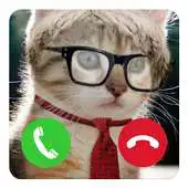 Free play online Fake Call Cat Prank APK