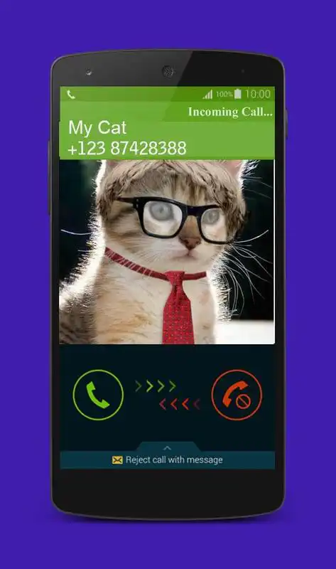 Play Fake Call Cat Prank
