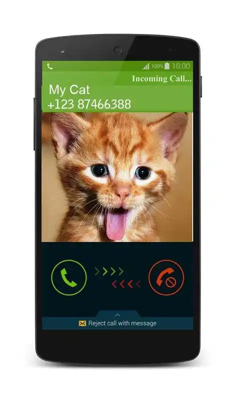 Play Fake Call Cat Prank