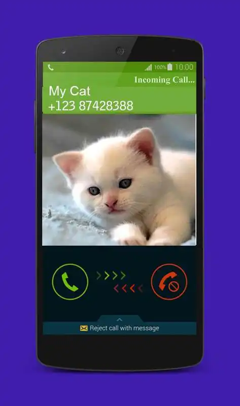 Play Fake Call Cat Prank